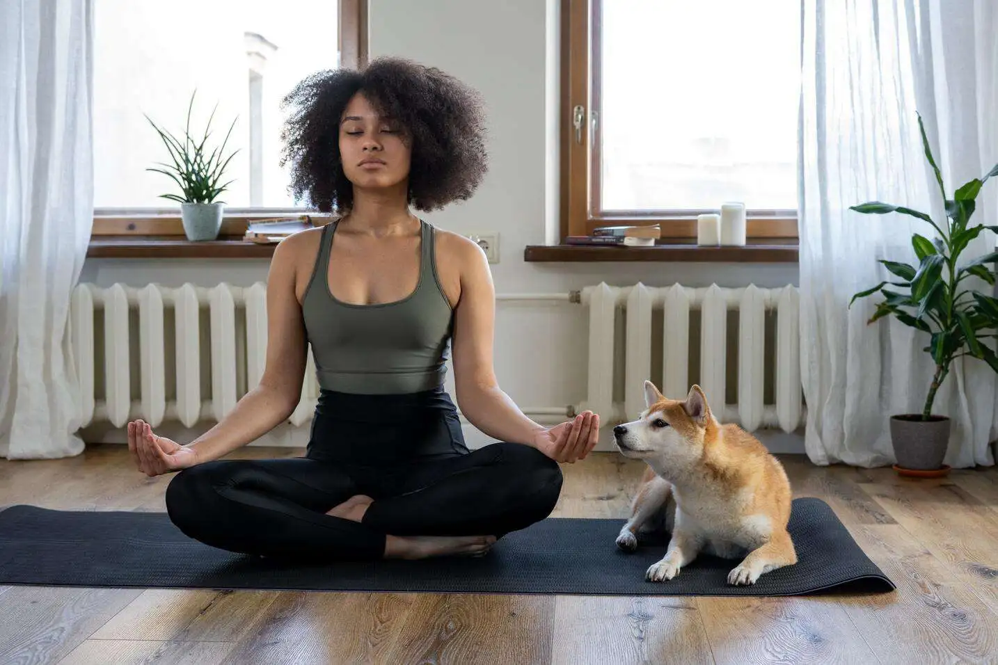 How To Start A Meditation Routine How To Start A Meditation Routine